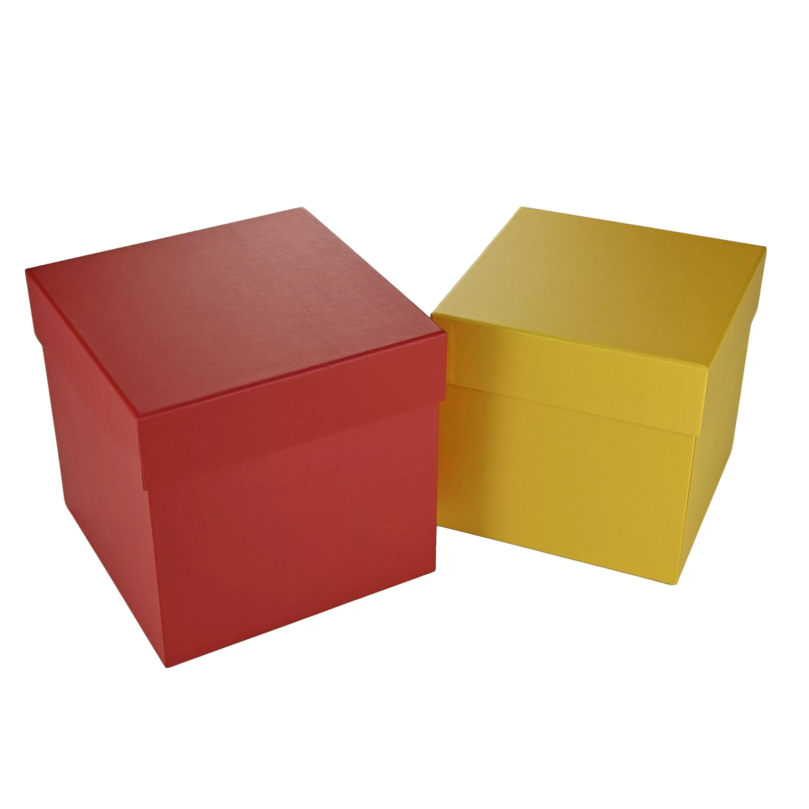  2-delige kartonnen dozen